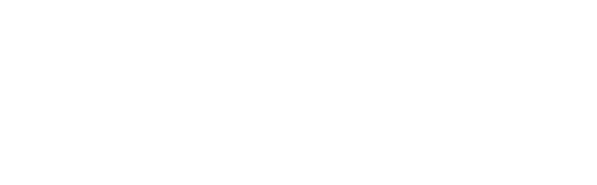 Swedish Institute